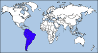 South America